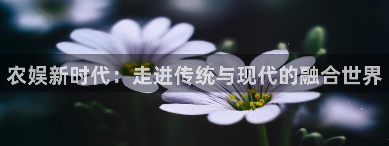 今年会首页