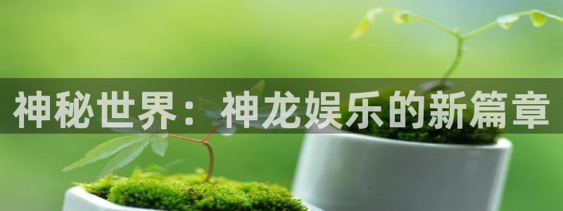 今年会官网登录入口