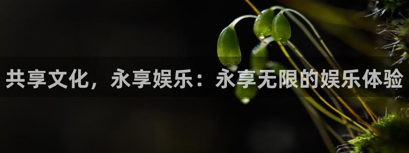 今年会