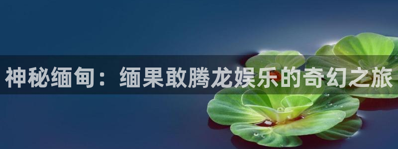 今年会app