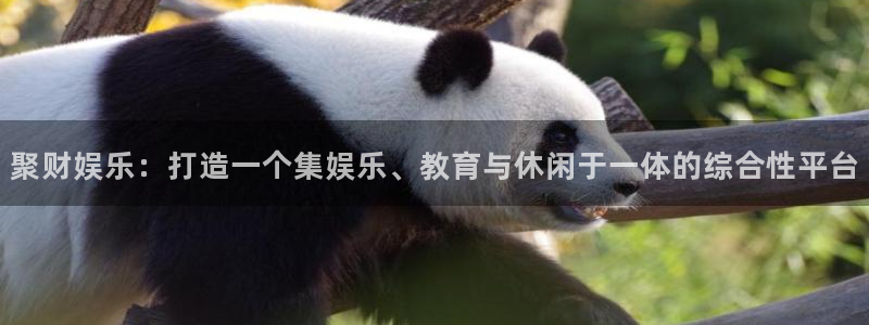 今年会体育