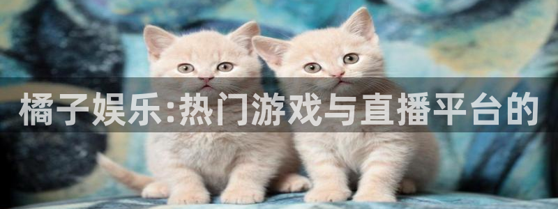 今年会首页