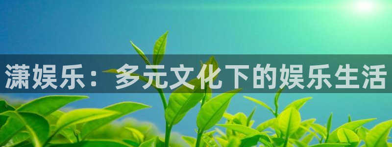 今年会体育