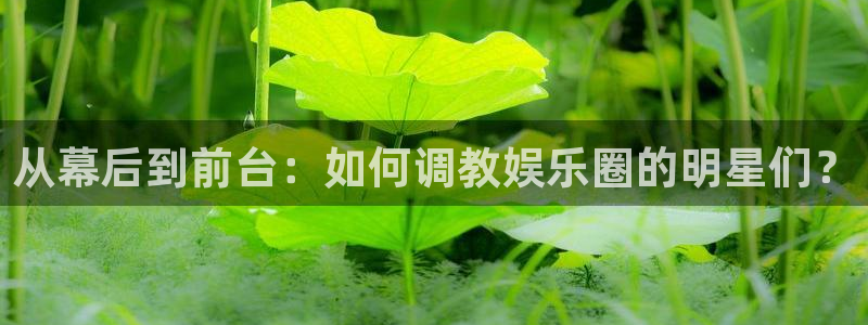 今年会体育